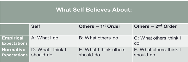 What Self Believes About