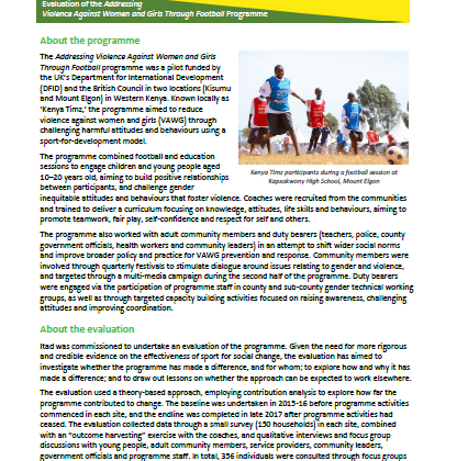 Executive Summary: Evaluation of the Addressing Violence Against Women ...