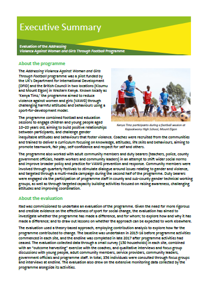Executive Summary: Evaluation of the Addressing Violence Against Women ...