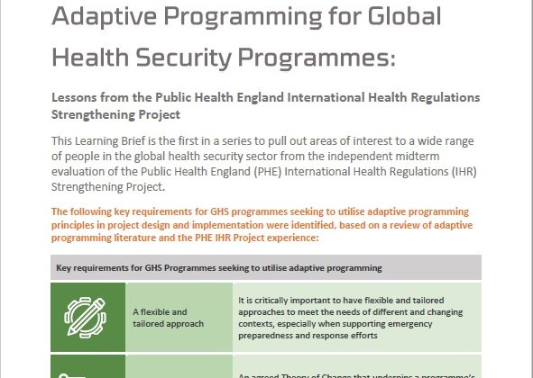 Adaptive programming for global health security programmes | Itad