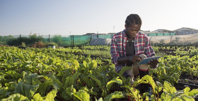 ethics young man in field looking at tablet ethics