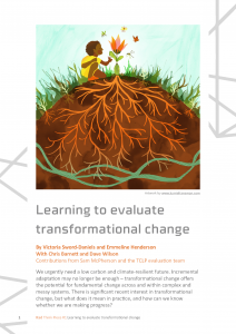 cover of transformative change think piece