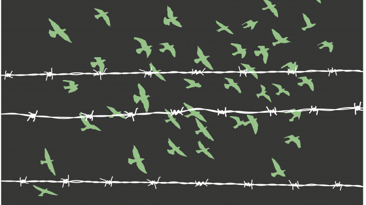 birds and barbed wire representing slavery