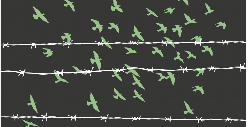 birds and barbed wire representing slavery