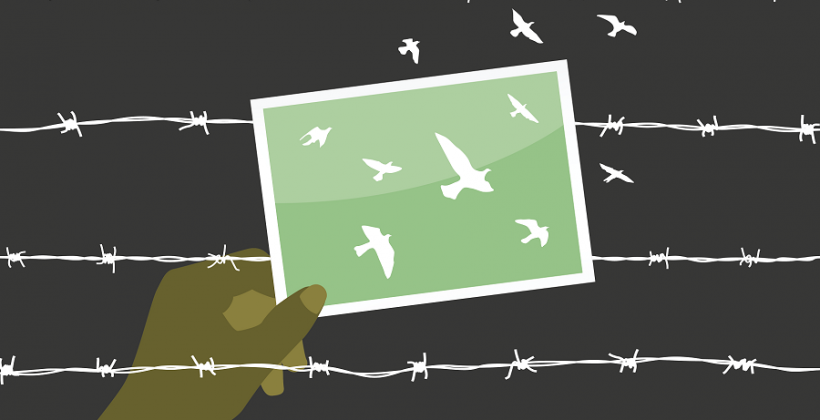 human trafficking and unsafe migration, hand holding picture of birds in front of barbed wire