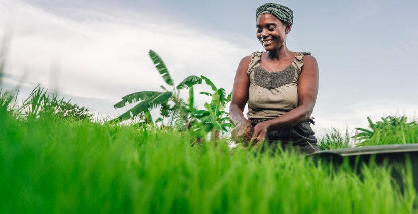 female farmer in the field in Malawi