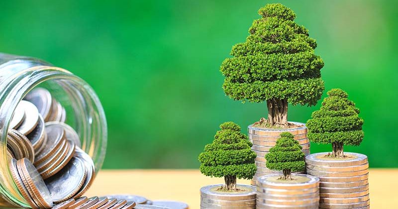 Image of trees growing on stacks of coins