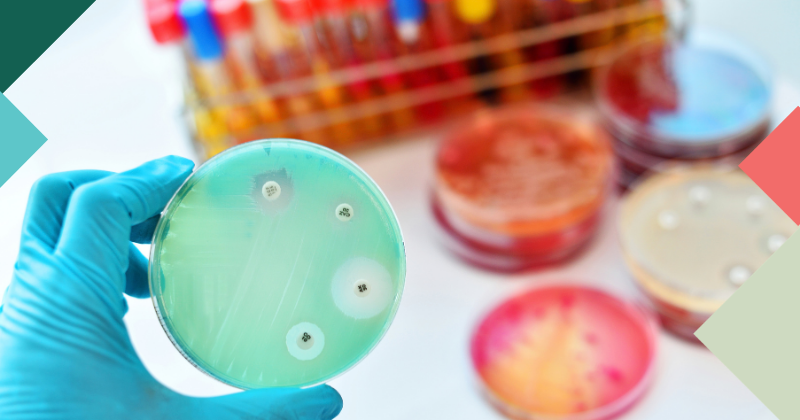A gloved hand holds a green petri dish containing pale green jelly and four tablets. The background includes other dishes and laboratory test tubes.